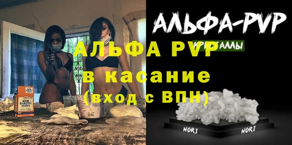 мдпв Бородино