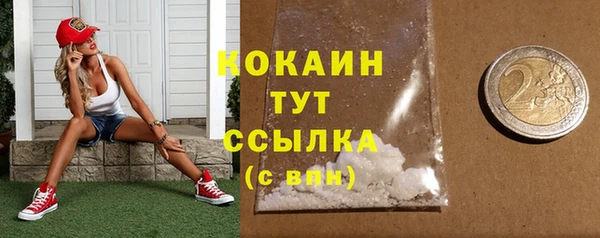 PSILOCYBIN Богданович