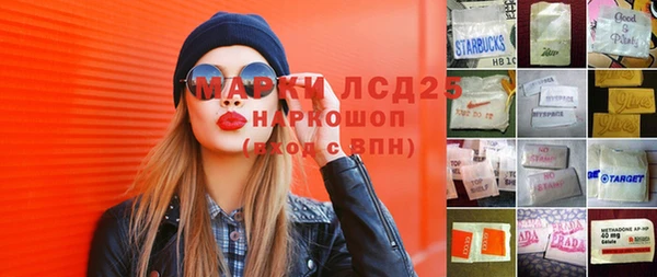 мдпв Бородино