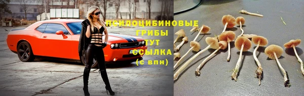 спайс Богородицк
