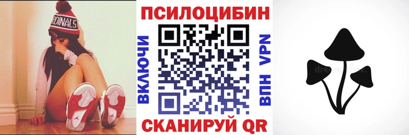 Купить  Слободской  Псилоцибиновые грибы Psilocybine cubensis 